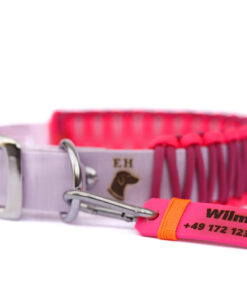 elbhunde dresden elbhunde gravurmarke halsband detail