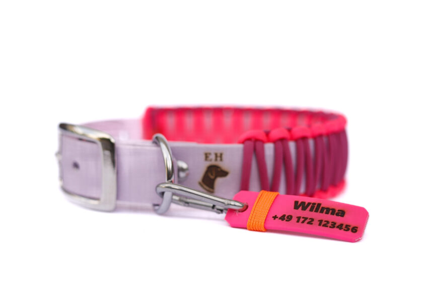 elbhunde dresden elbhunde gravurmarke halsband detail