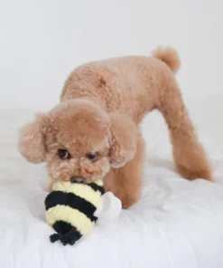 elbhunde dresden lambwolf collective bee pop aktion