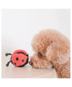 elbhunde dresden lambwolf collective marienkaefer ladybug pop hund