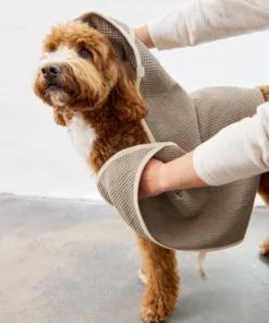 elbhunde dresden palopa handtuch nobs aktion