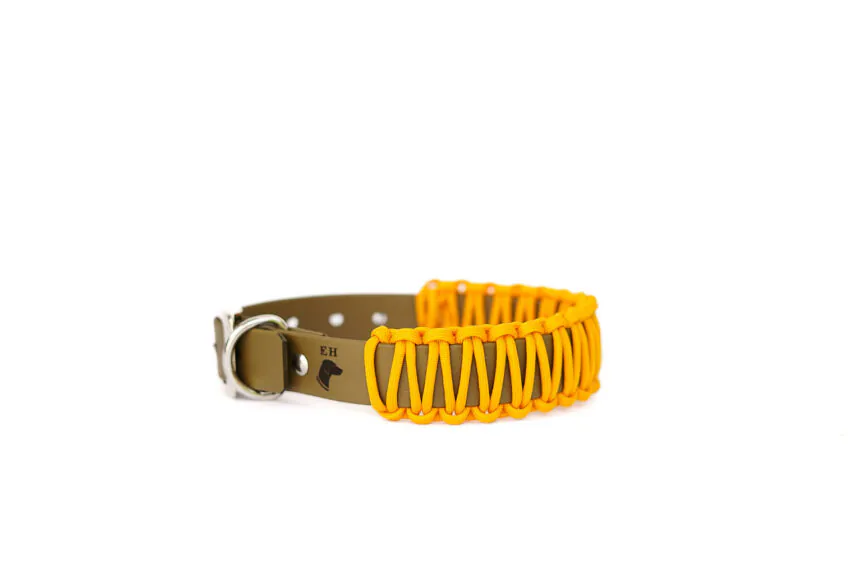 elbhunde biothane paracord halsband wunschfarbe halsband