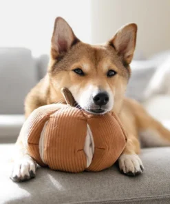 elbhunde dresden lambwolf collective Schnueffelkuerbis cinderella hund