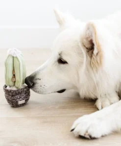 elbhunde dresden lambwolf collective cactus leckerlies