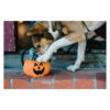Elbhunde P.L.A.Y. Halloween Pumpkin Basket Hund
