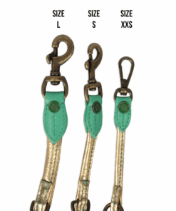 elbhunde dwam leine bobby brown groessen