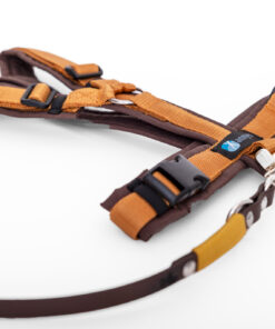 elbhunde dresden annyx set leine und brustgeschirr fun braun bernstein mit premium leine biothane