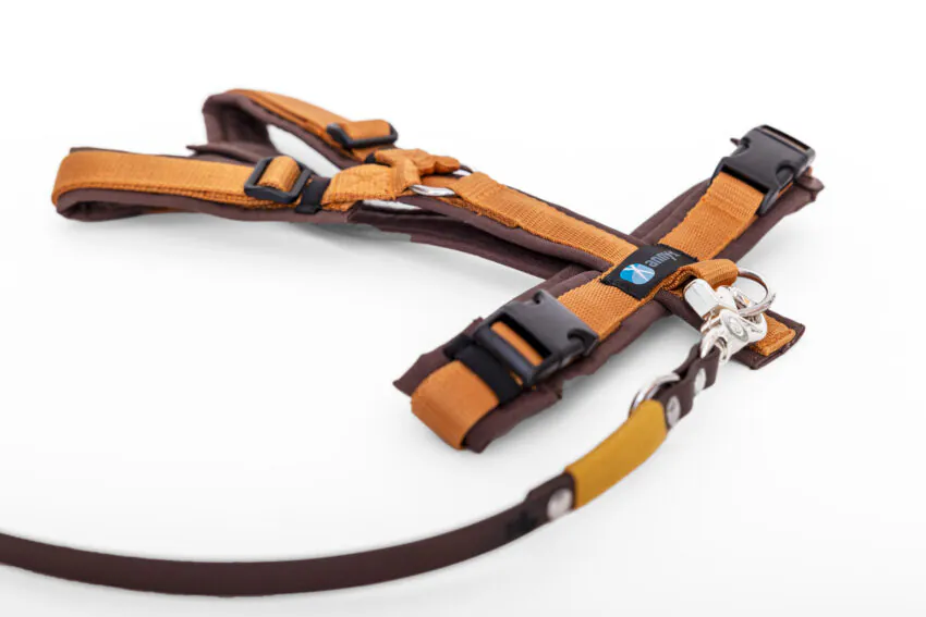 elbhunde dresden annyx set leine und brustgeschirr fun braun bernstein mit premium leine biothane