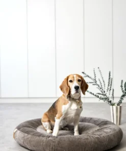 elbhunde dresden palopa hundebett fippa hund