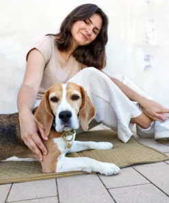 elbhunde dresden palopa hundemattentasche nobo salbei hund