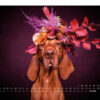 Elbhunde Frau Knautsch Wand Kalender Blumenzauber 2024 Oktober