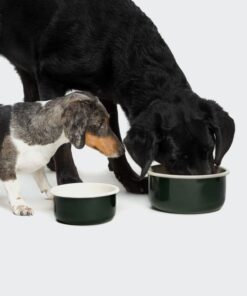 elbhunde cloud7 hundenapf granny dark green hund