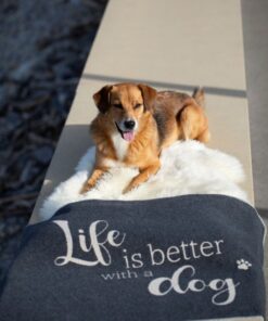 elbhunde david fussenegger decke life is better anthrazit hund