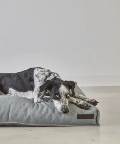 elbhunde dresden miacara hundekissen mare fels hund