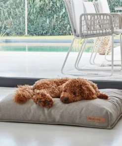 elbhunde dresden miacara hundekissen mare sand hund scaled