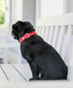 elbhunde maul ledermanufaktur halsband klassik soft rot tragebils