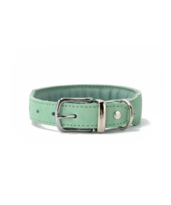 elbhunde maul ledermanufaktur halsband mono pop mint schnalle