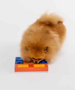 elbhunde pawzler beginner set hund