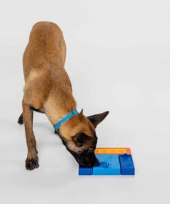 elbhunde pawzler beginner set hund gross