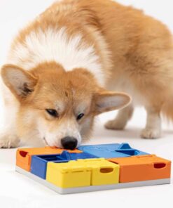 elbhunde pawzler rainbow set hund