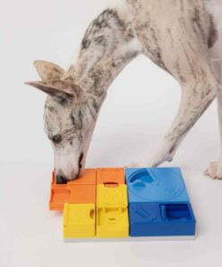 elbhunde pawzler rainbow set teile hund gross