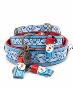 elbhunde dwam halsband dutchie