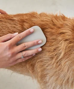 elbhunde dresden miacara hundebürste pelo dusty green detail