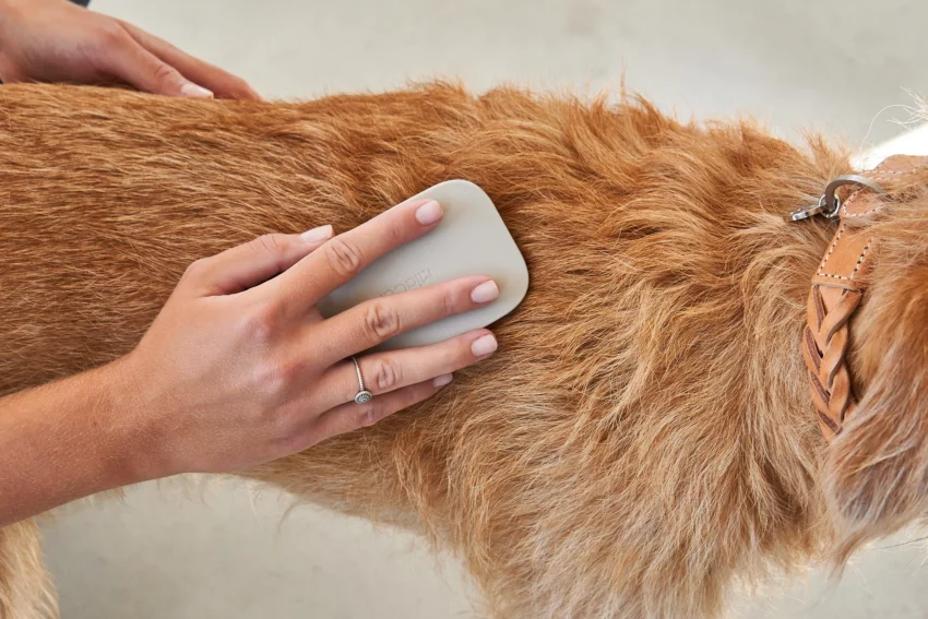 elbhunde dresden miacara hundebürste pelo dusty green detail