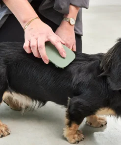 elbhunde dresden miacara hundebürste pelo dusty green hund