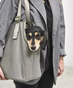 elbhunde dresden miacara hundetragetasche sporta grolive getragen