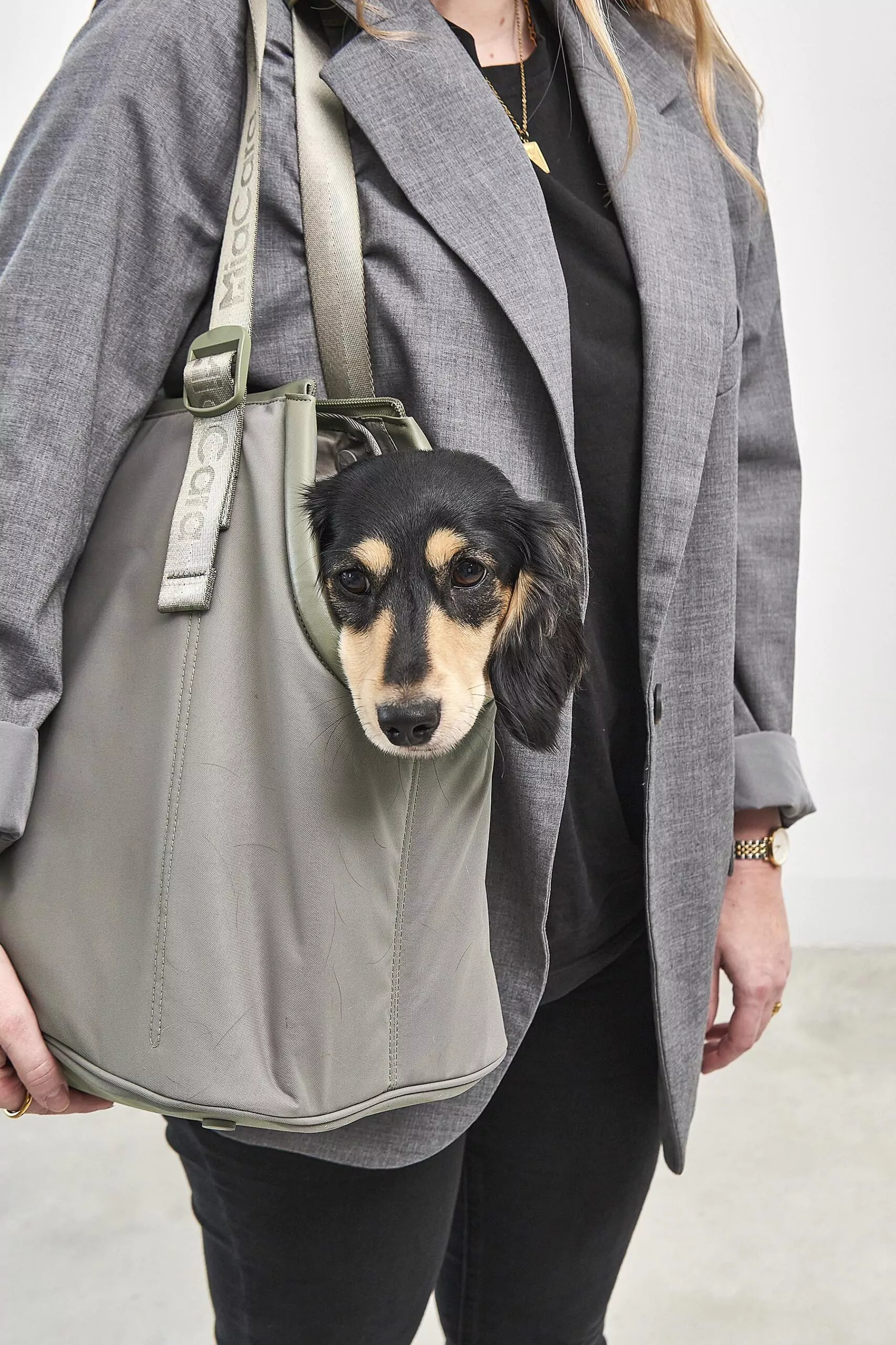 elbhunde dresden miacara hundetragetasche sporta grolive getragen