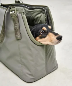 elbhunde dresden miacara hundetragetasche sporta grolive hund