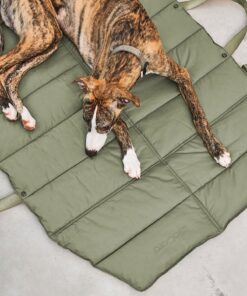 elbhunde dresden miacara strada grolive detail