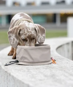 elbhunde dresden palopa dog bowl to go tura taupe hund