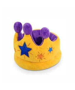 elbhunde dresden play hundespielzeug party geburtstag krone.jpg