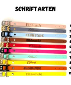 elbhunde dresden schriftarten aktuell