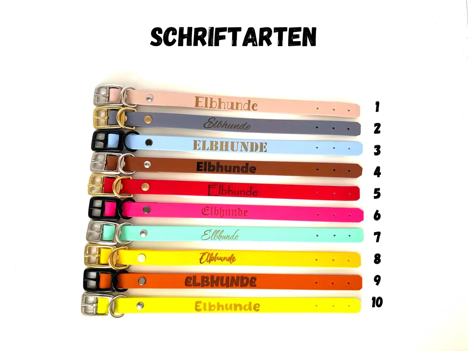 elbhunde dresden schriftarten aktuell