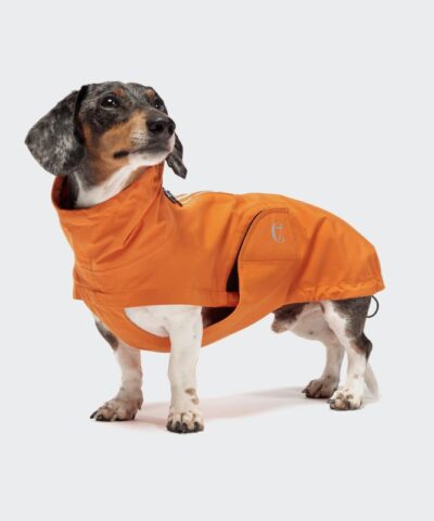 elbhunde cloud7 regenmantel dublin dackel orange hund
