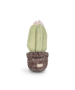 elbhunde dresden lambwolf collective cactus.webp