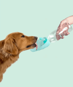 elbhunde dresden united pets trinkflasche leaf aquamarin hund