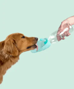 elbhunde dresden united pets trinkflasche leaf aquamarin hund