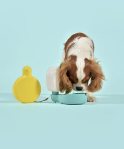 elbhunde dresden united pets trinkflasche pingui aquamarin hund