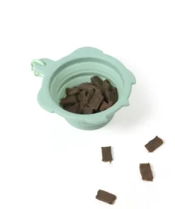 elbhunde dresden united pets turtle bowl futter