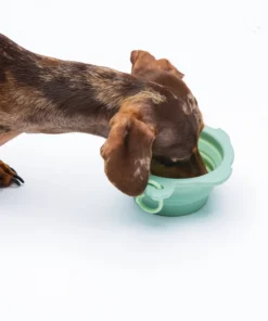 elbhunde dresden united pets turtle bowl hund