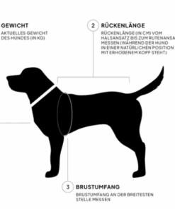 elbhunde cloud7 größenmessung