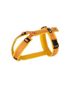 elbhunde dresden annyx brustgeschirr fun goldglöckchen