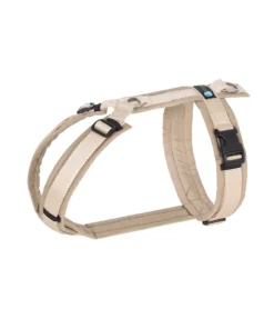 elbhunde dresden annyx brustgeschirr fun schneeball