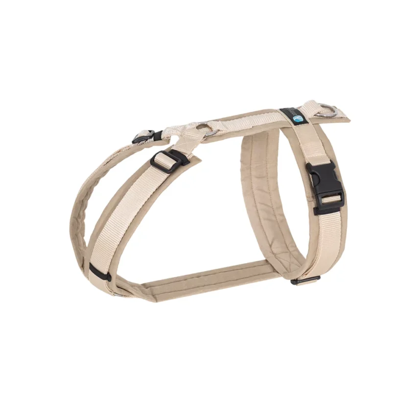 elbhunde dresden annyx brustgeschirr fun schneeball