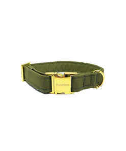 elbhunde dresden hundessa hundehalsband olive
