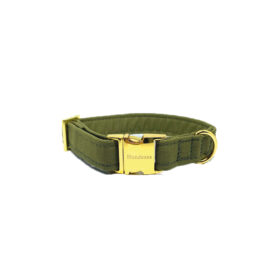 elbhunde dresden hundessa hundehalsband olive